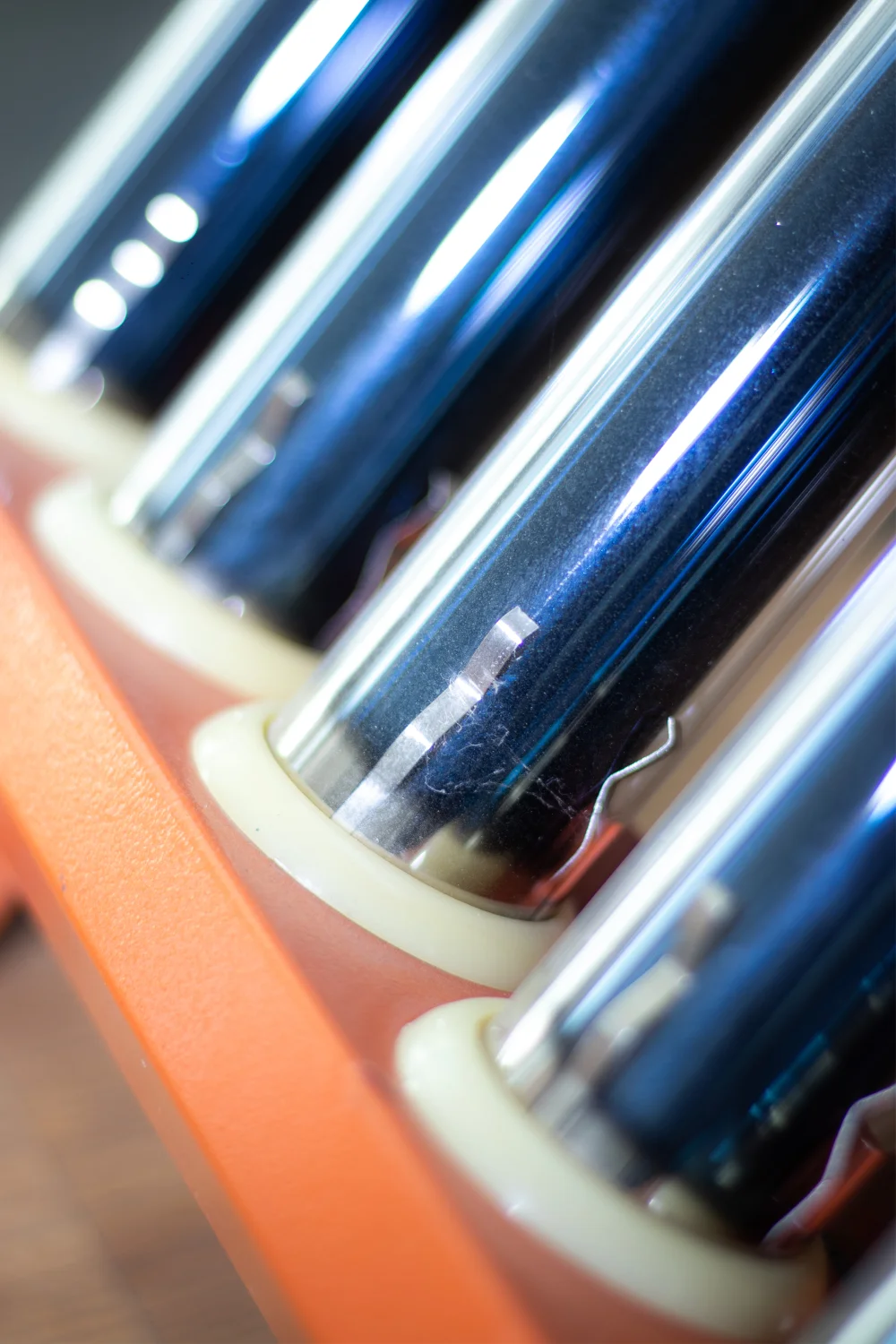 nosotros ecocentenario